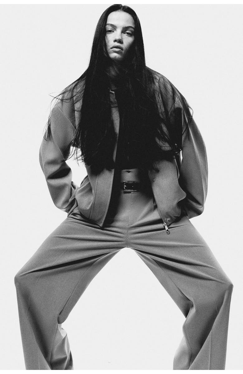 H&M Collared Bomber Jacket, Alternate, color, Light Gray/Pinstriped