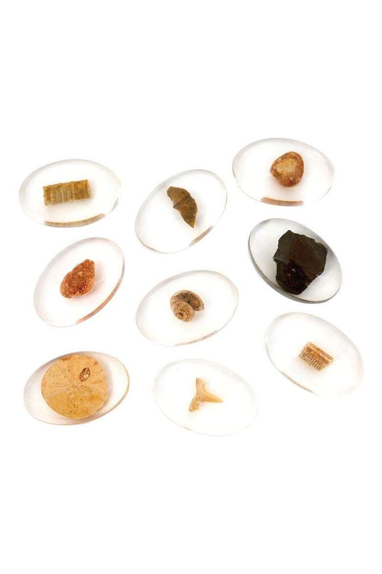 Specimen Stones Fossils - 9 Stones, Alternate, color, Multicolored
