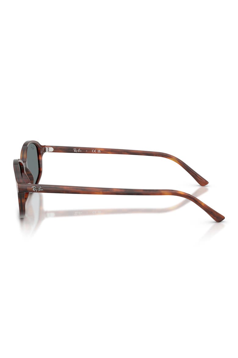 54mm Irregular Sunglasses, Alternate, color, STRIPED HAVANA / BLUE