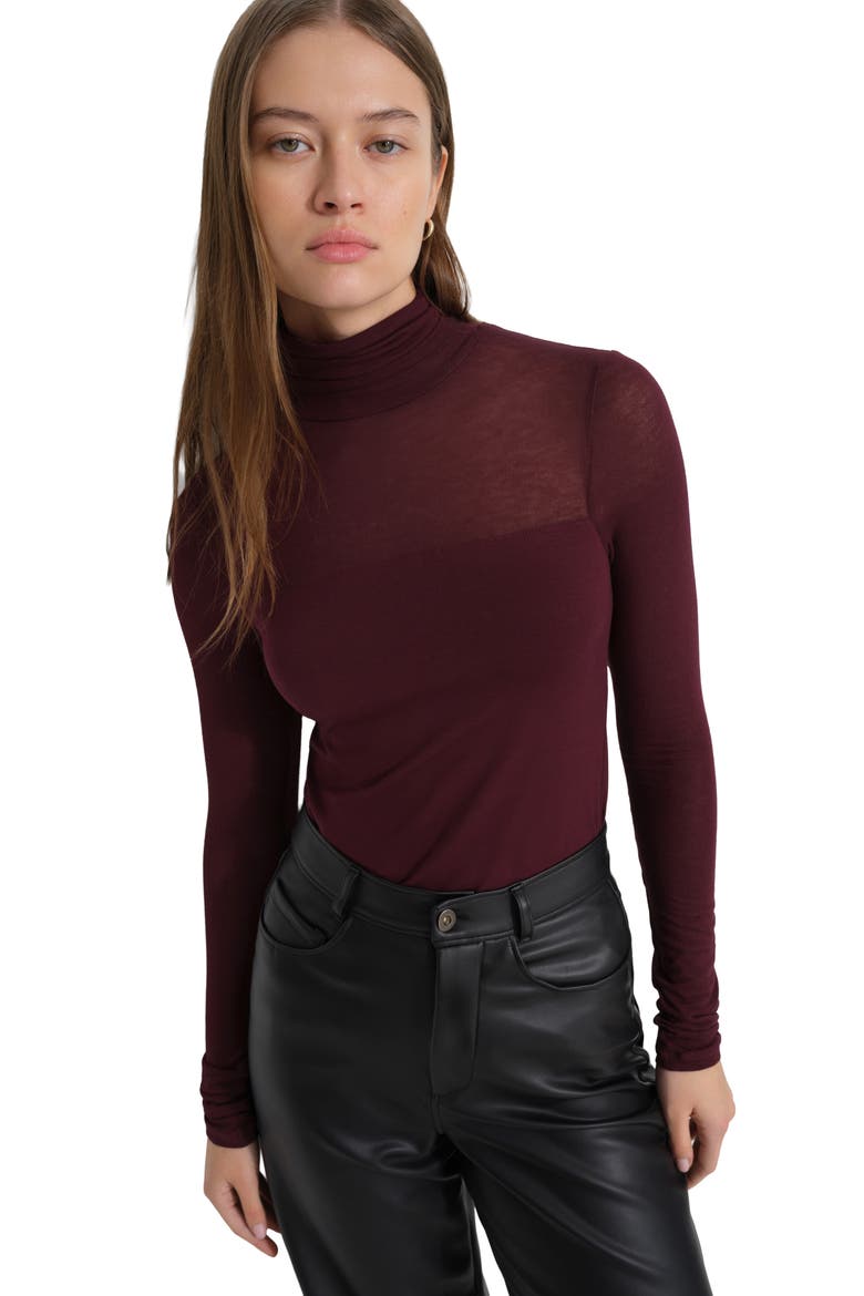 Cara Turtleneck Top, Alternate, color, BURGUNDY