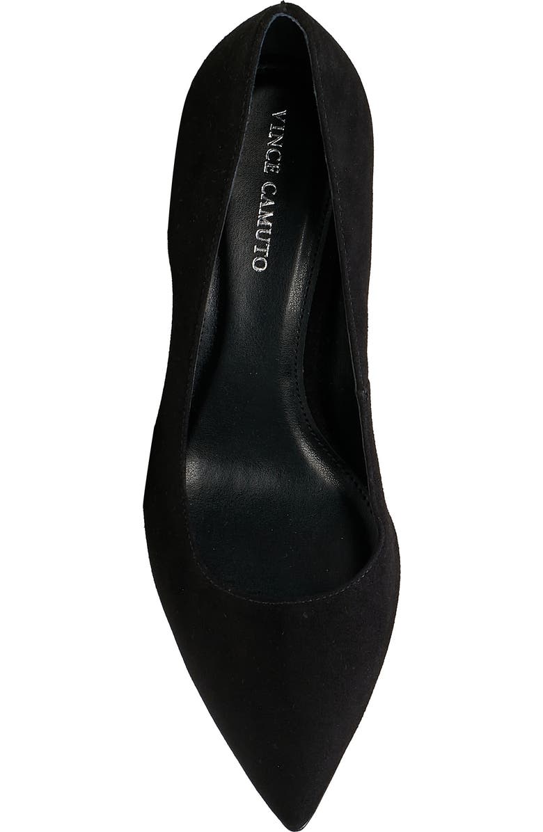 Vince Camuto Hailenda Pointed Toe Pump, Alternate, color,