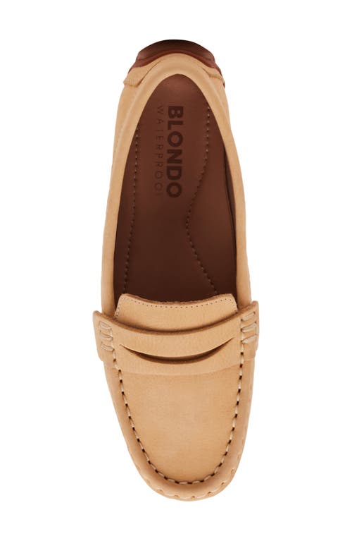 Blondo Shellby Waterproof Driving Loafer In Nude