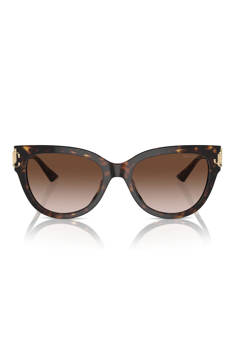 54mm Gradient Phantos Sunglasses, Main, color, HAVANA / GRADIENT BROWN