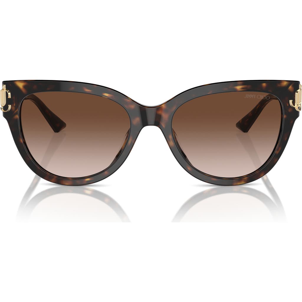 Jimmy Choo 54mm Gradient Phantos Sunglasses In Havana/gradient Brown