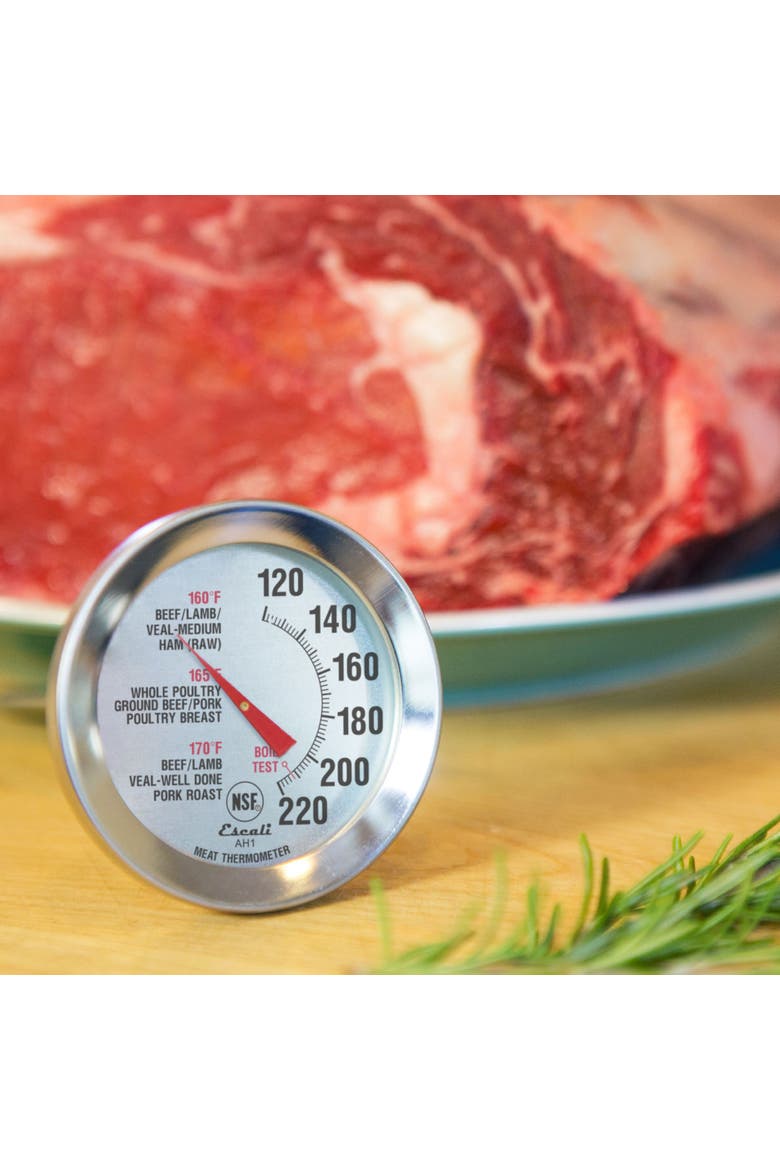 Oven Safe Meat Thermometer, Alternate, color, Metallic Silver