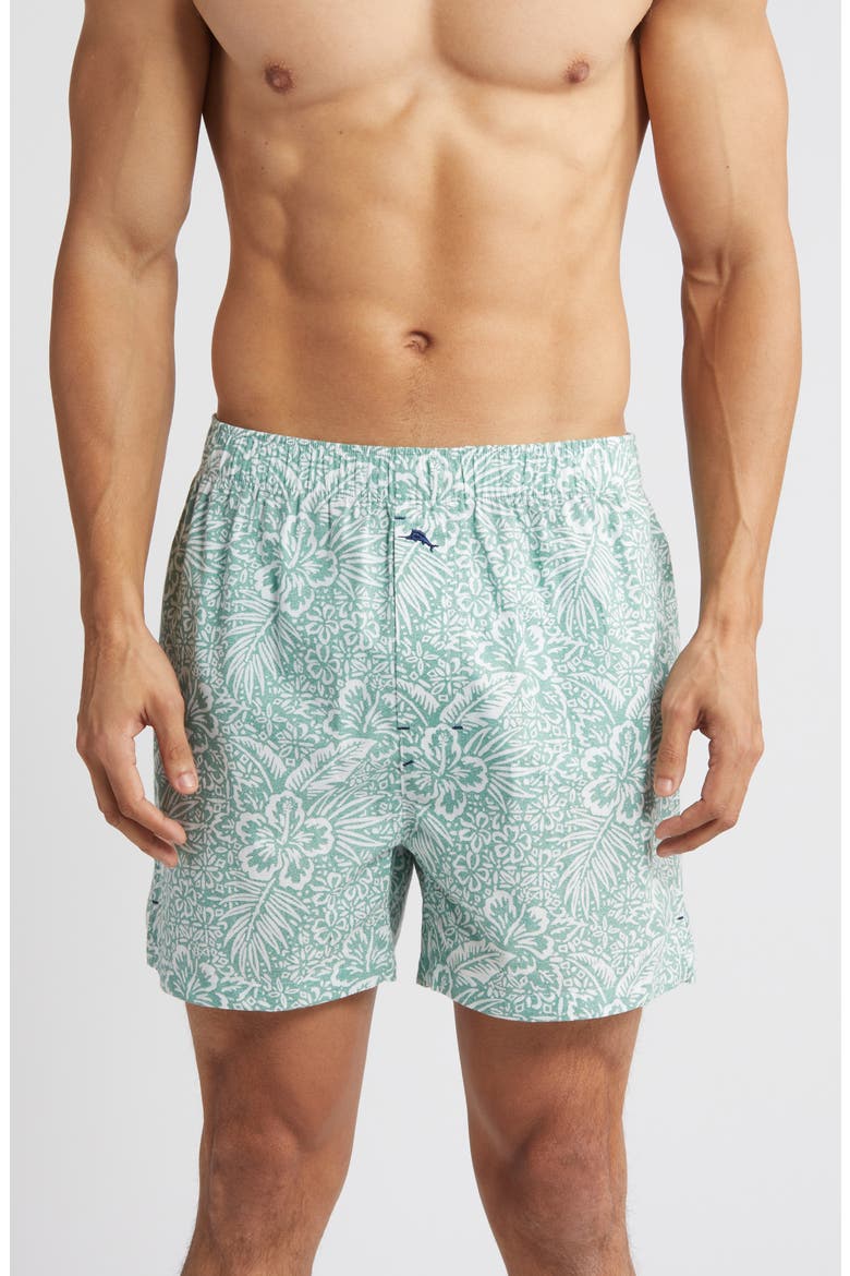 Cotton Pajama Boxers, Main, color, MINT PRINT