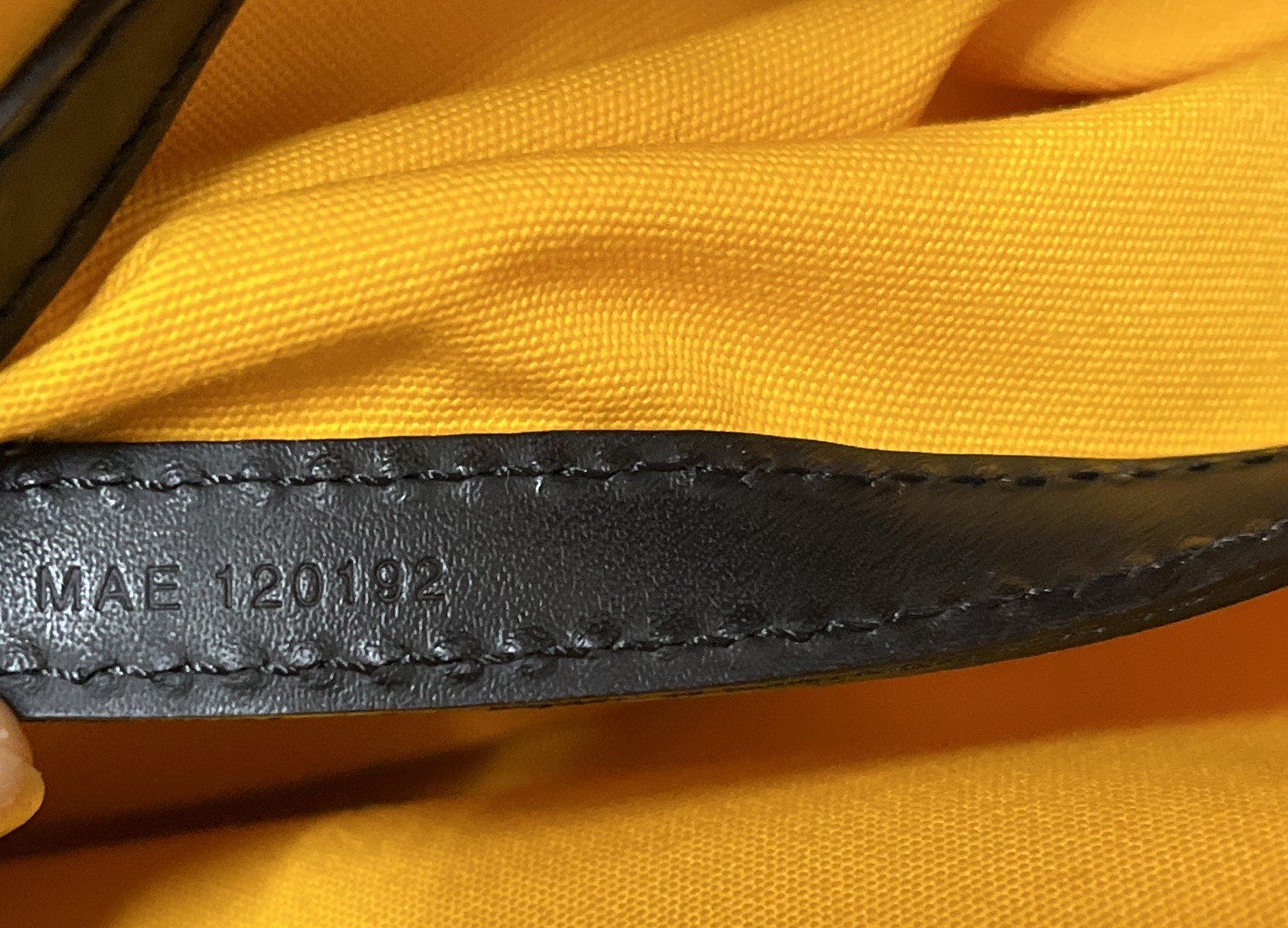 Pre-Owned Goyard Cap Vert Bag Coated Canvas, Alternate, color, 