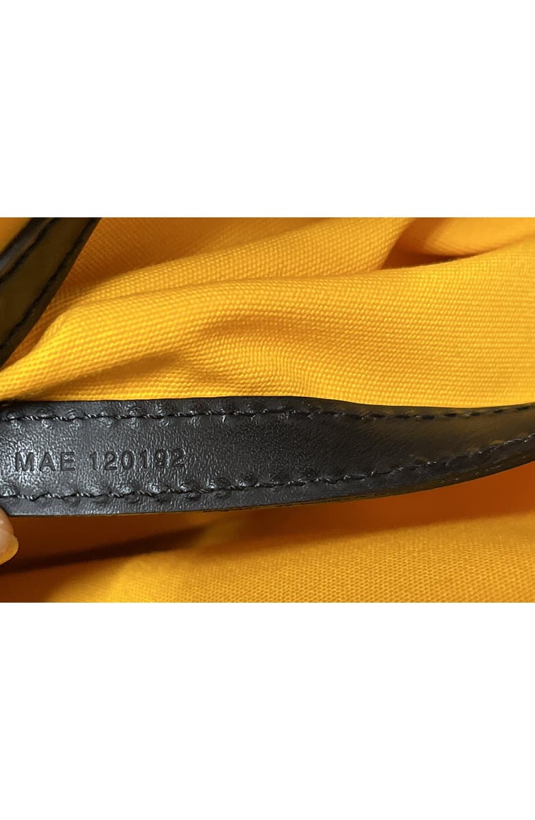 Pre-Owned Goyard Cap Vert Bag Coated Canvas, Alternate, color,