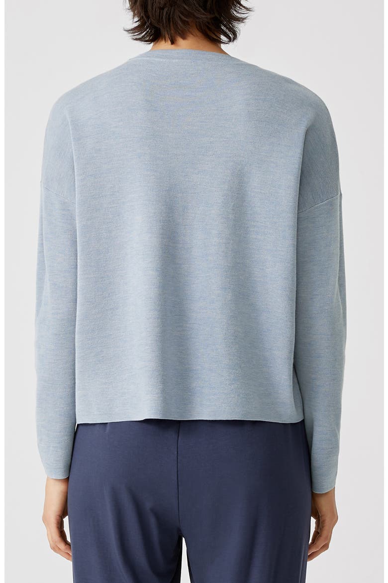 Merino Wool Crewneck Sweater, Alternate, color, DELPHINE
