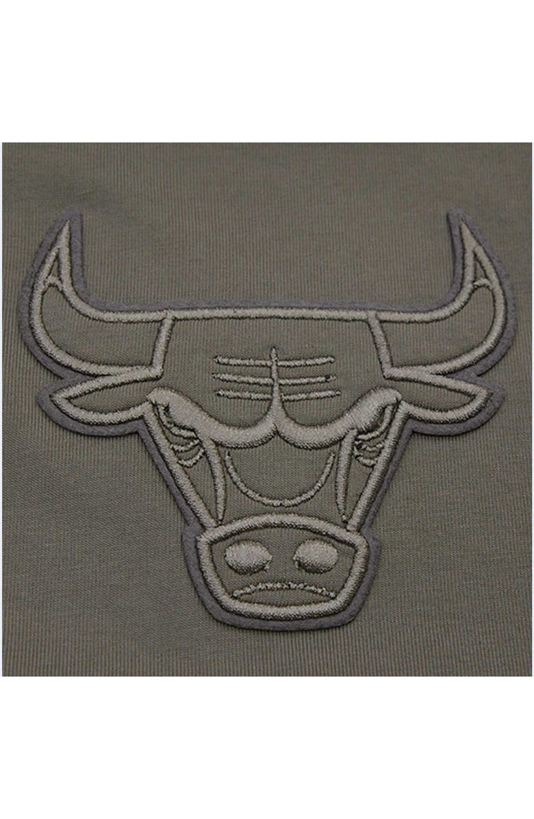 PRO STANDARD Men's Pro Standard  Gray Chicago Bulls Neutrals Short Sleeve Pullover Hoodie, Alternate, color, Gray