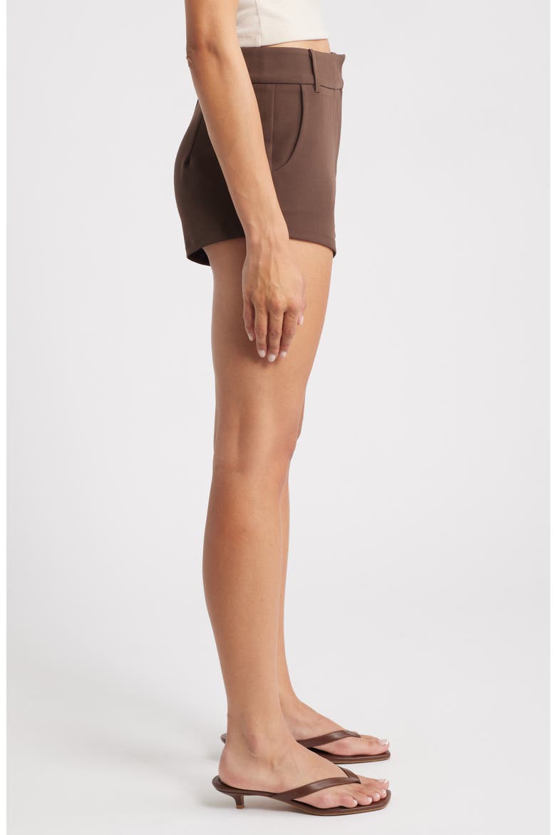 Ellis Mini Shorts, Alternate, color, CHOCOLATE BROWN