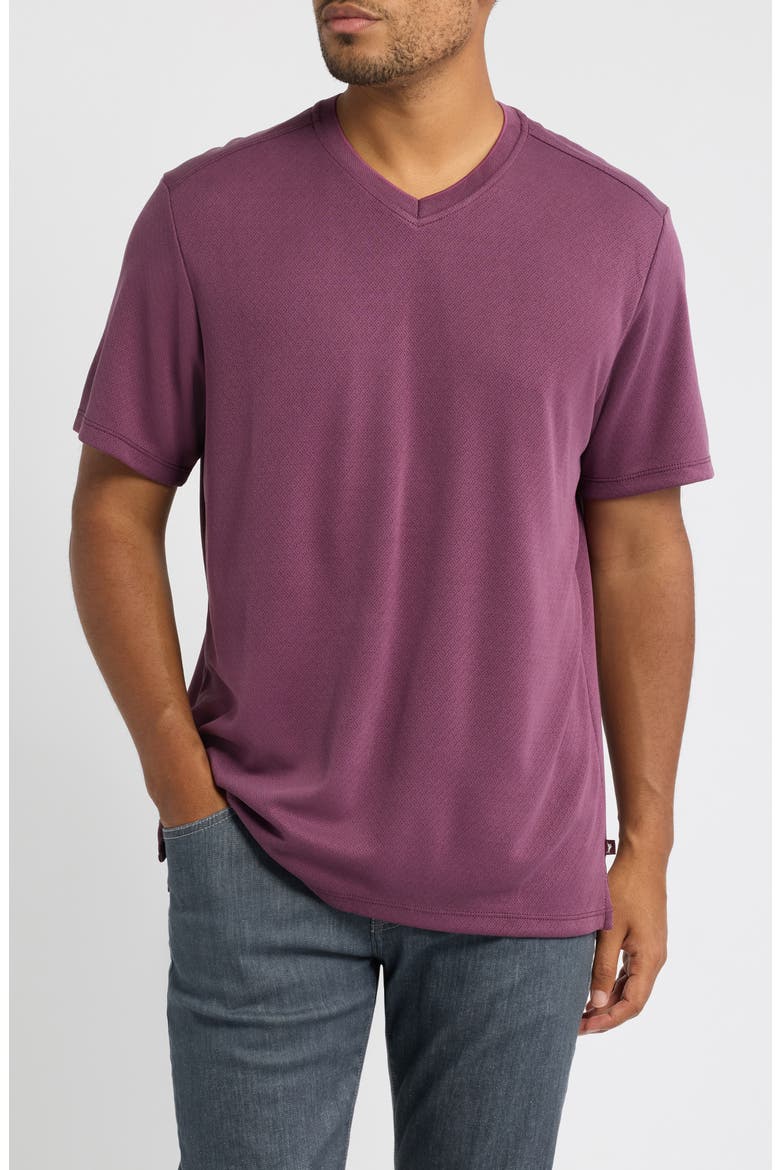 Keyport Diamond V-Neck IslandZone® T-Shirt, Main, color, SHADOW PLUM