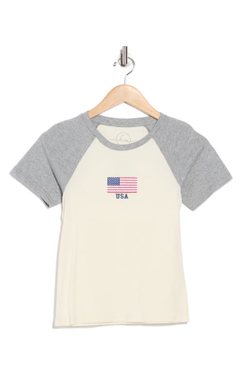 Hi Res American Flag Embroidered Short Sleeve Cotton Baseball T-shirt