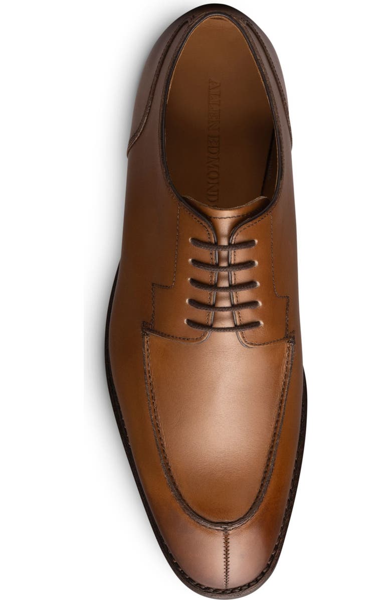 Allen Edmonds Watson Leather Oxford, Alternate, color,