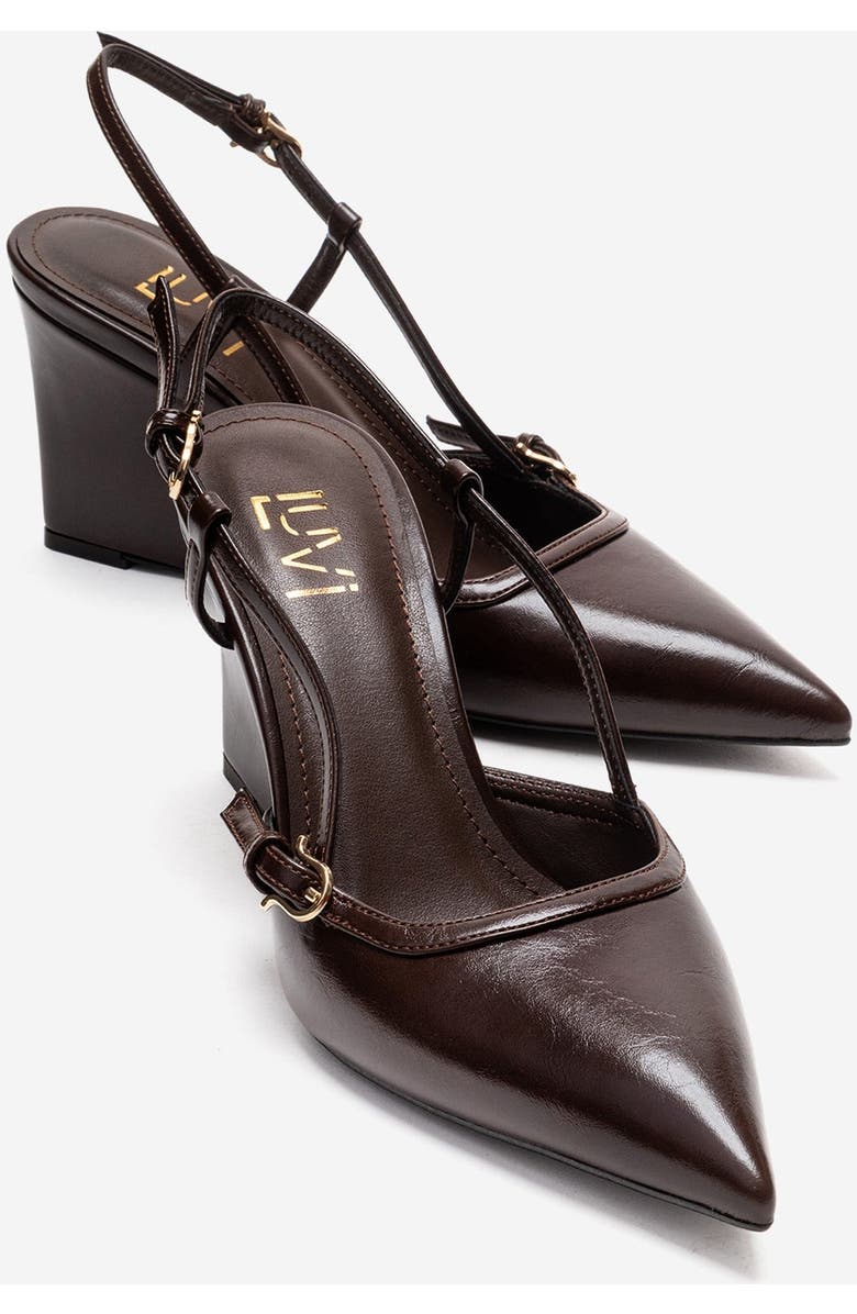 Prologue Shoes Celia Pointed Toe Wedge Pump, Main, color, Brown