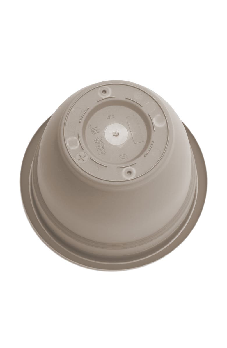 Bloem Dice pack (KS)-FR/EN, Alternate, color, Beige