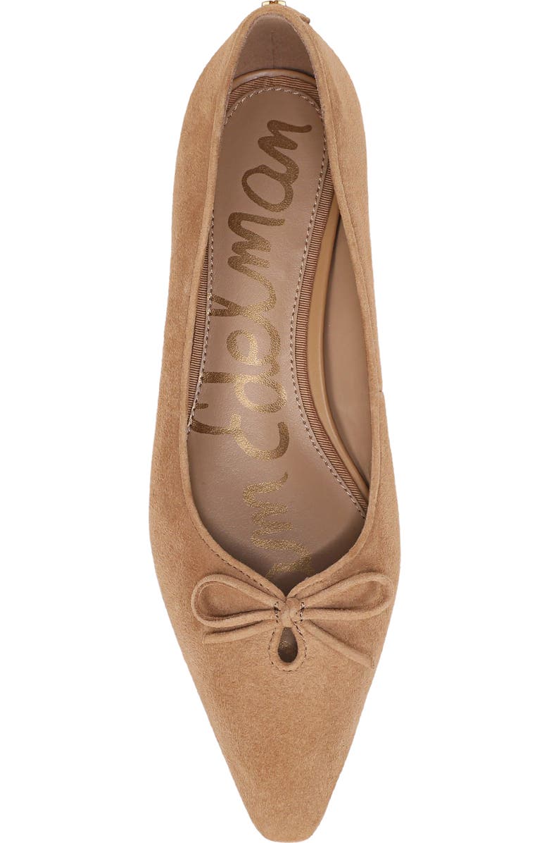 Sam Edelman Esmira Pointed Toe Flat, Alternate, color,