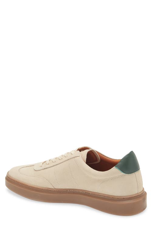 Bruno Magli Serafino Low Top Sneaker In Off White/green Suede