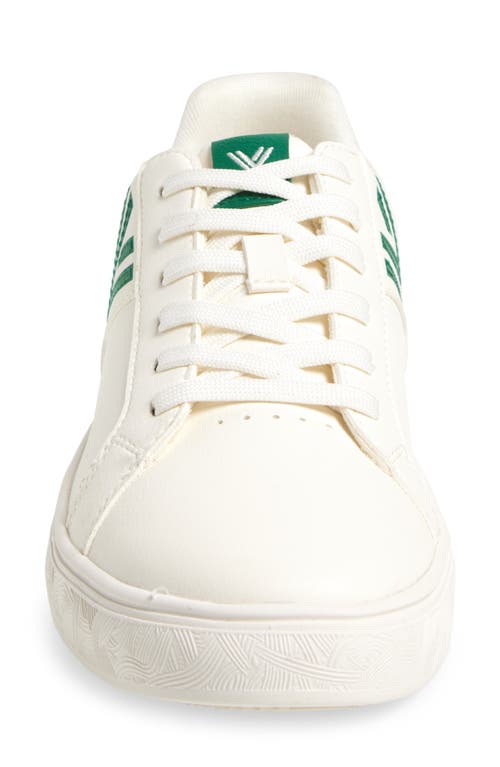 Yy Nation Fractus Cactus Sneaker