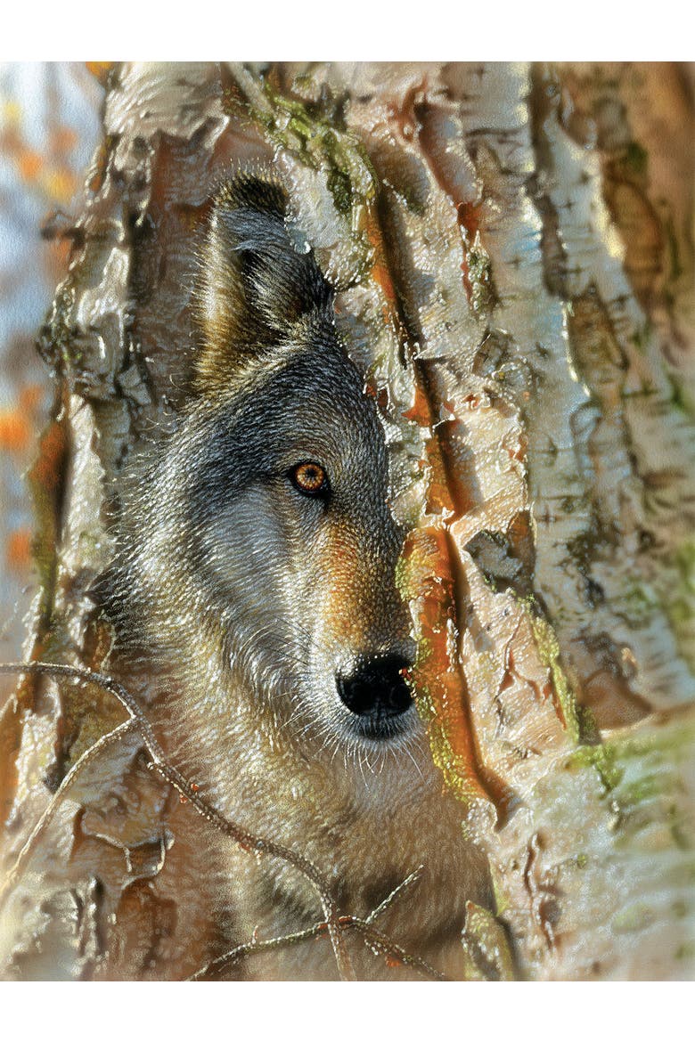 Wolf Encounter 500 piece Jigsaw Puzzle for Adults, Alternate, color, Multicolor