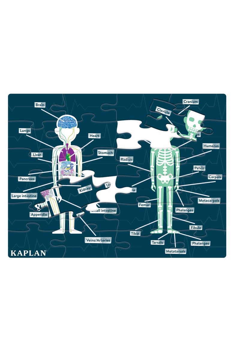 Human Body Puzzle - 24 Pieces, Alternate, color, Multicolored