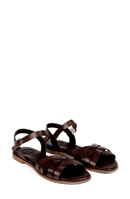 Penelope Chilvers Shepherdess Ankle Strap Sandal In Brown