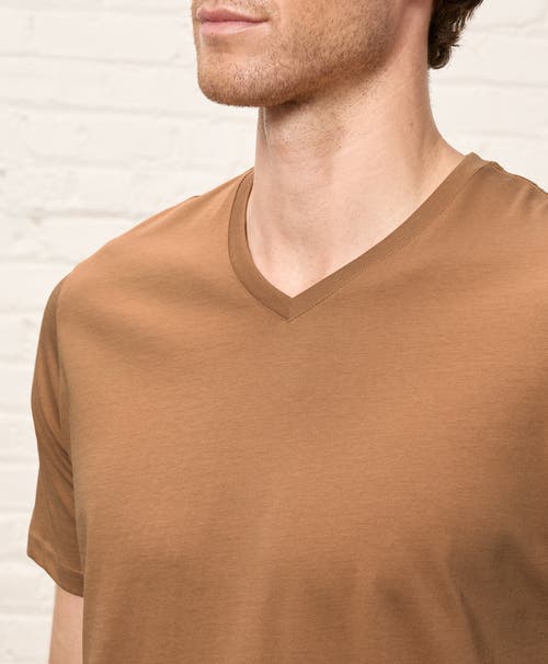 Pact Organic Cotton Softspun V-neck Tee In Brown