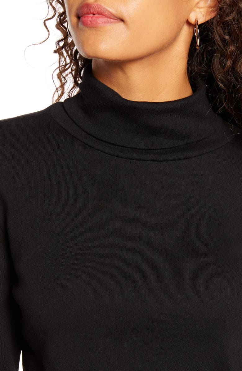 1901 Knit Turtleneck Top, Alternate, color, 