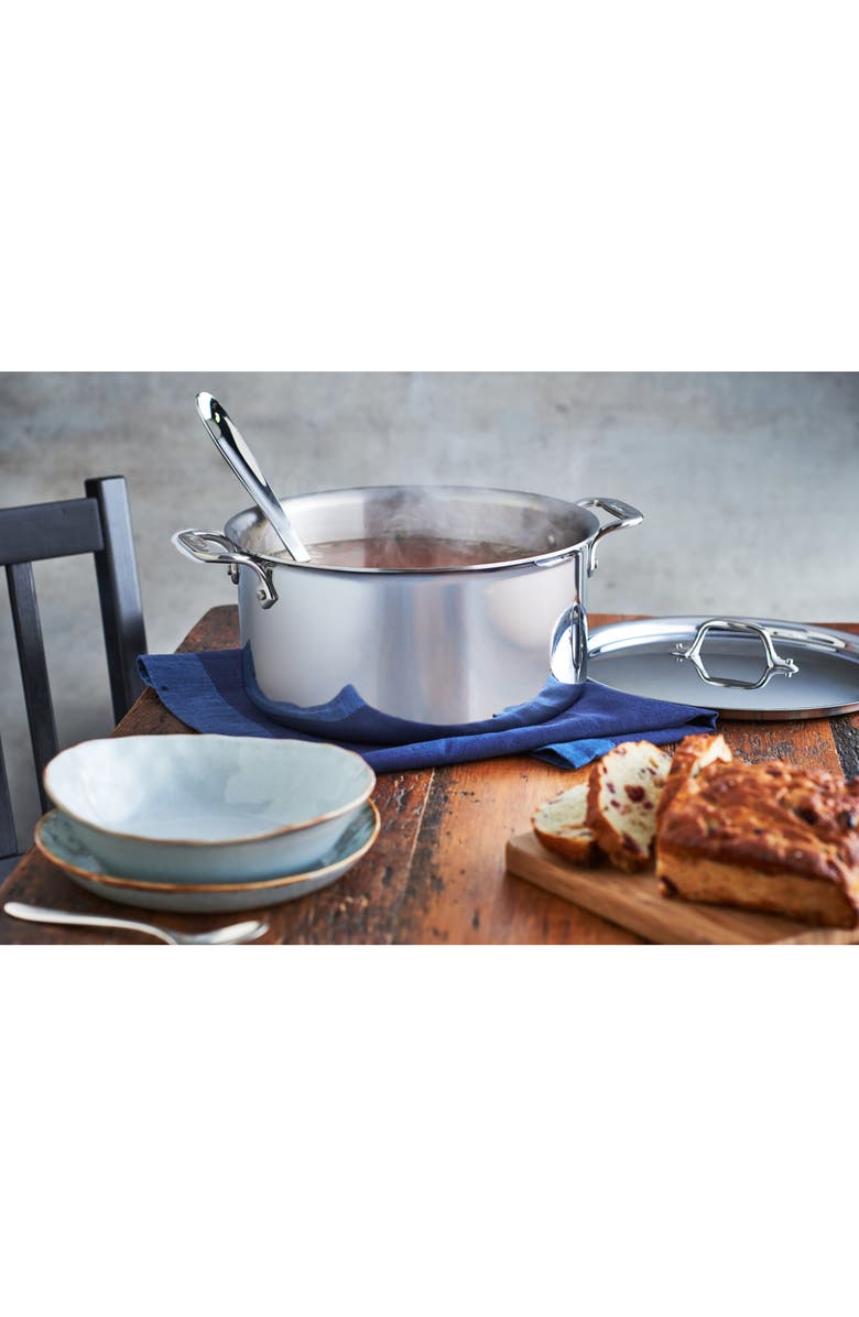 All-Clad 6-Quart Stainless Steel Stockpot with Lid, Alternate, color, 