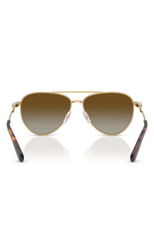 Swarovski 59mm Crystal Embellished Gradient Polarized Pilot Sunglasses In Brown