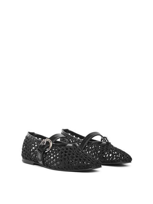 Maguire Aveiro Ballerina