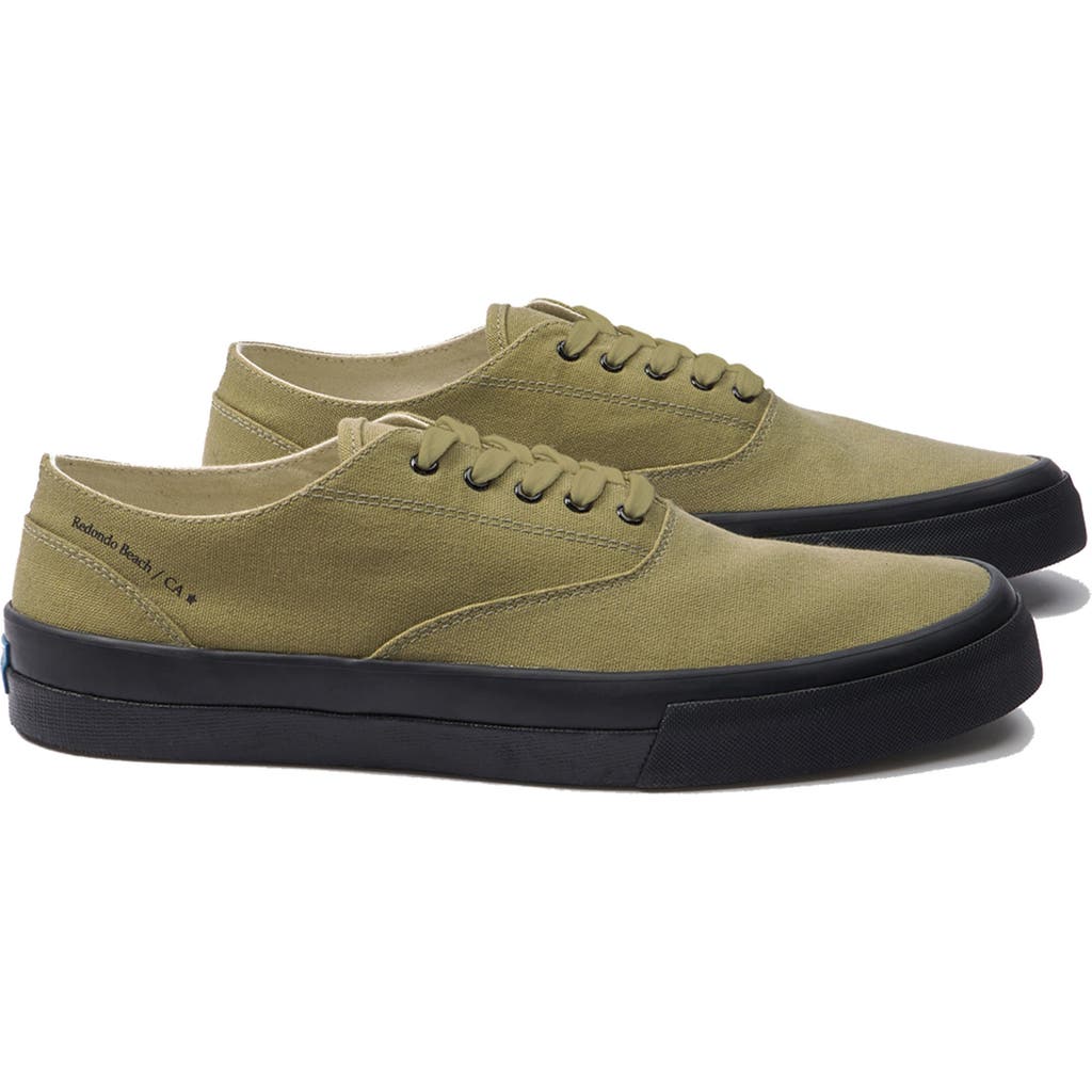 Fortela Redondo Canvas Sneakers By Mr. Fliks In Green