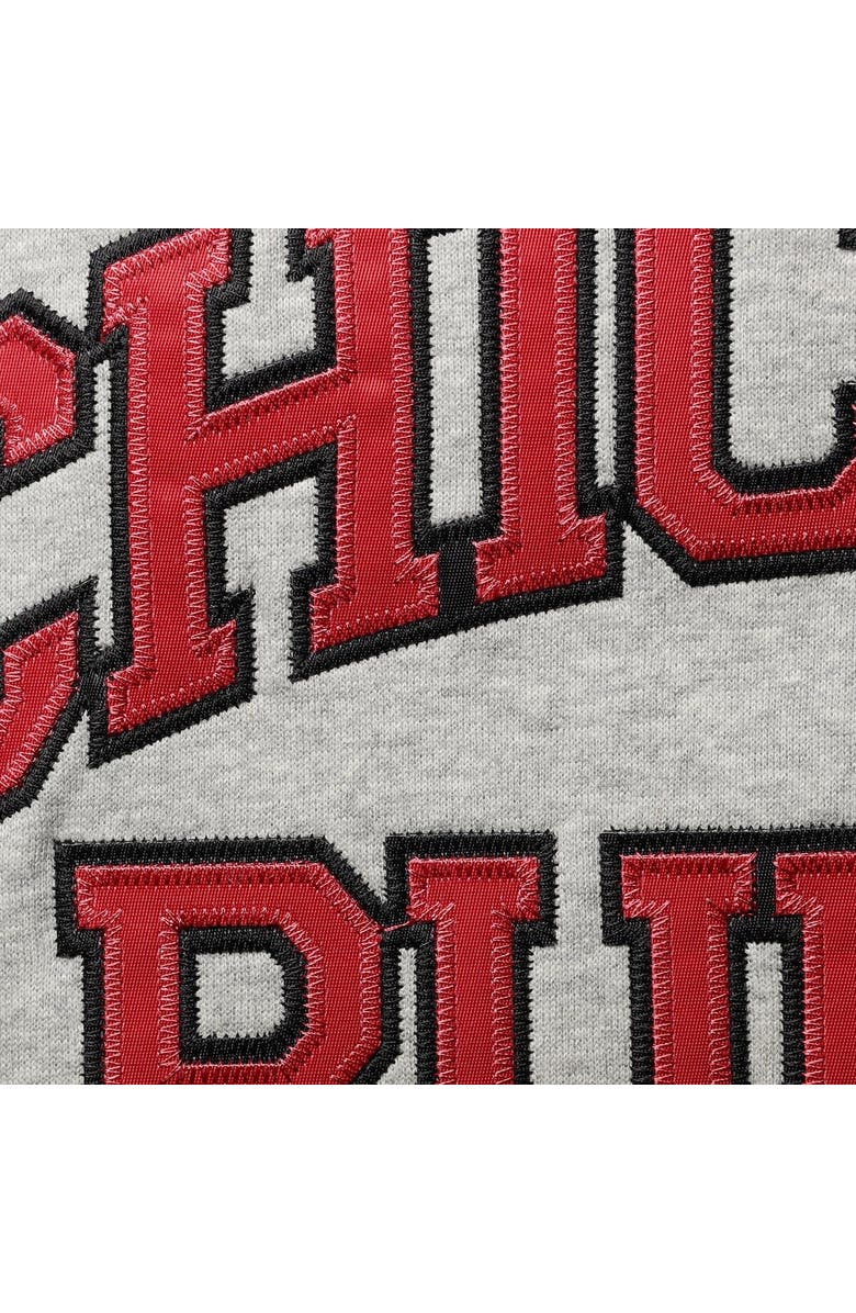 Mitchell & Ness Men's Mitchell & Ness Dennis Rodman Heathered Gray Chicago Bulls Big & Tall Name & Number Pullover Hoodie, Alternate, color,
