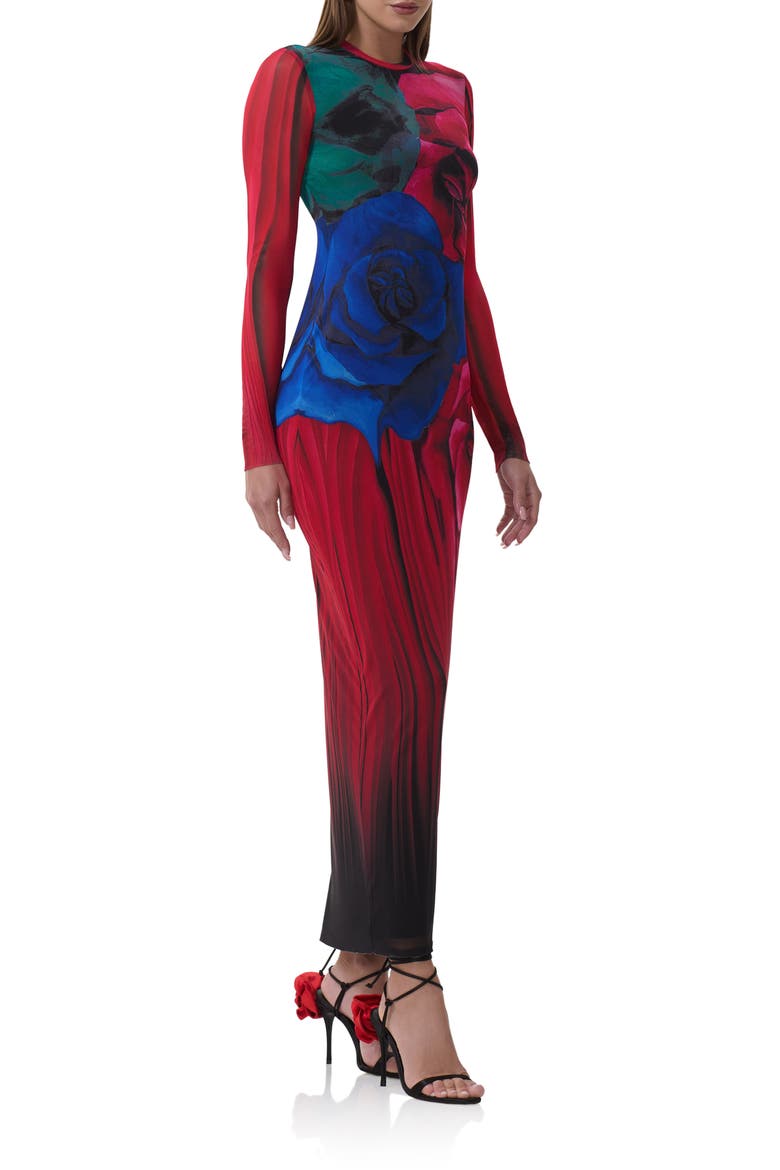 Didi Printed Long Sleeve Mesh Maxi Dress, Alternate, color, MULTI BLUR ROSE