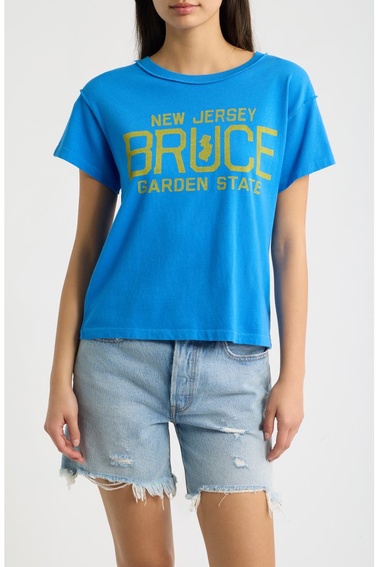 Bruce Springsteen Garden State Graphic Tee, Main, color, AZURE BLUE