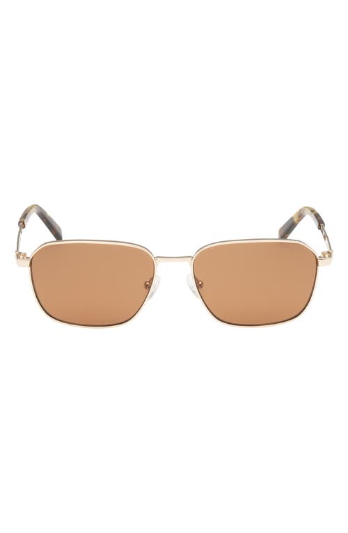 ABERCROMBIE & FITCH 56mm Round Sunglasses in Gold /Brown Lens 