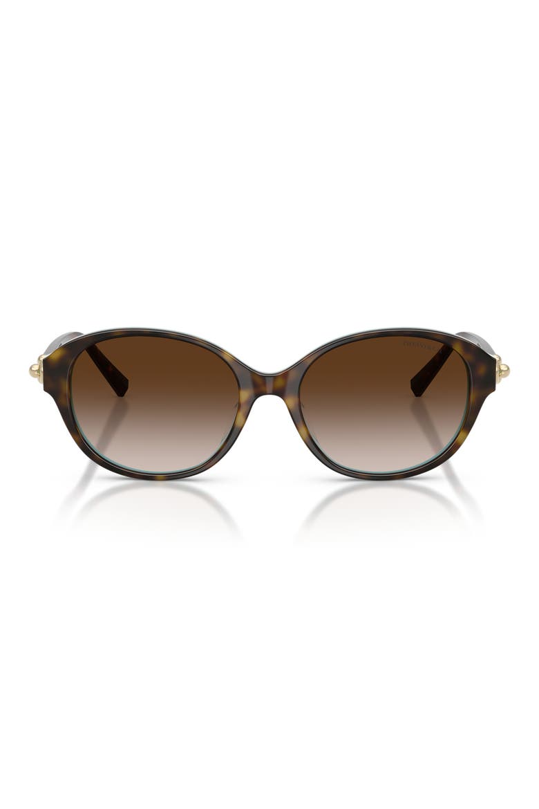 54mm Round Sunglasses, Main, color, HAVANA ON TIFFANY BLUE / BROWN