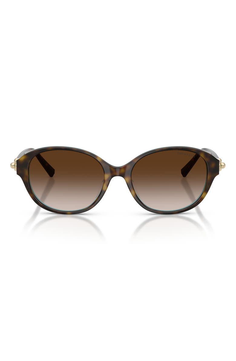 Tiffany & Co. 54mm Round Sunglasses, Main, color, Havana On Tiffany Blue / Brown