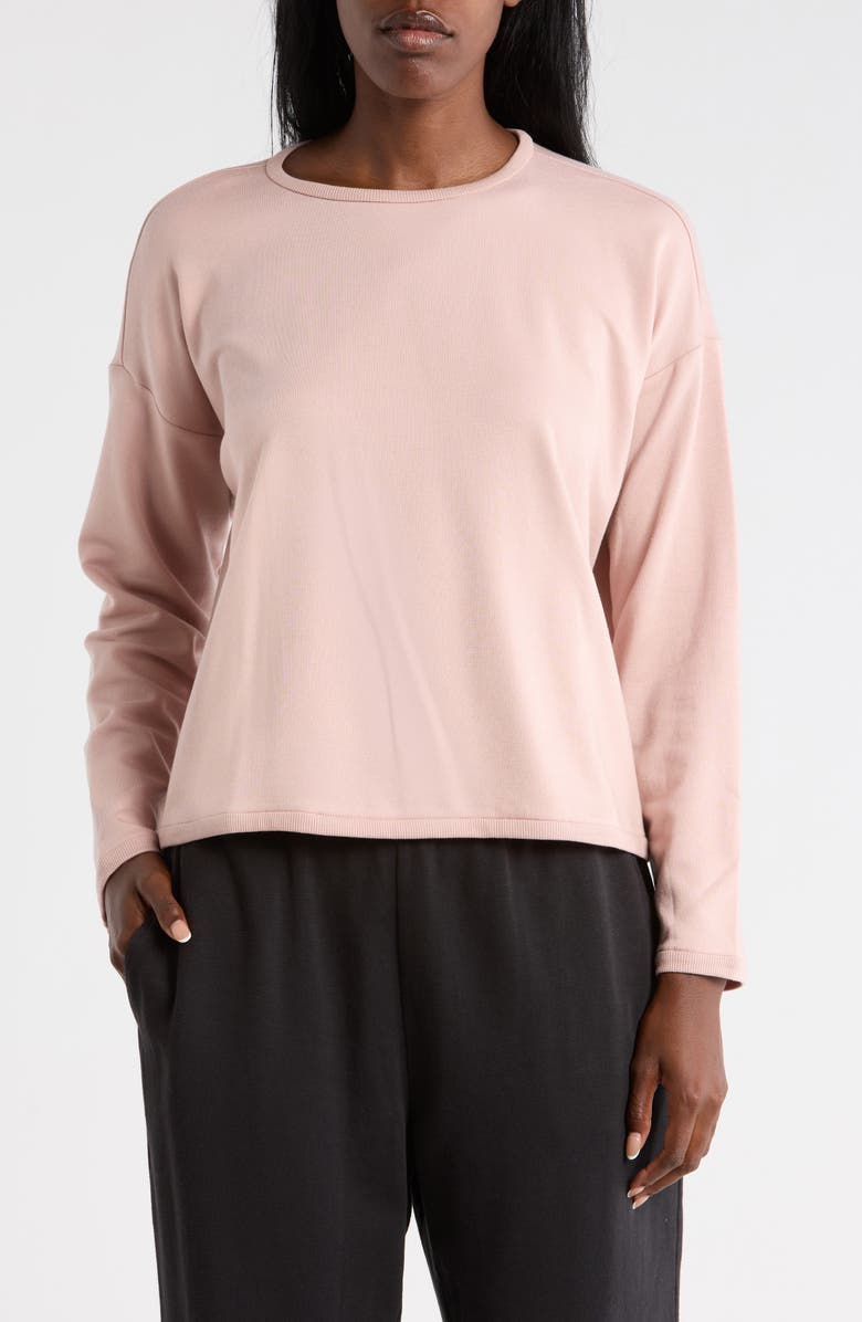 Eileen Fisher Crewneck Long Sleeve Crop Top, Main, color, Opal