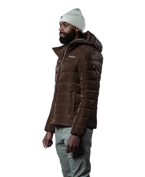 Woodpecker Sparrow Medium Weight Coat In Green