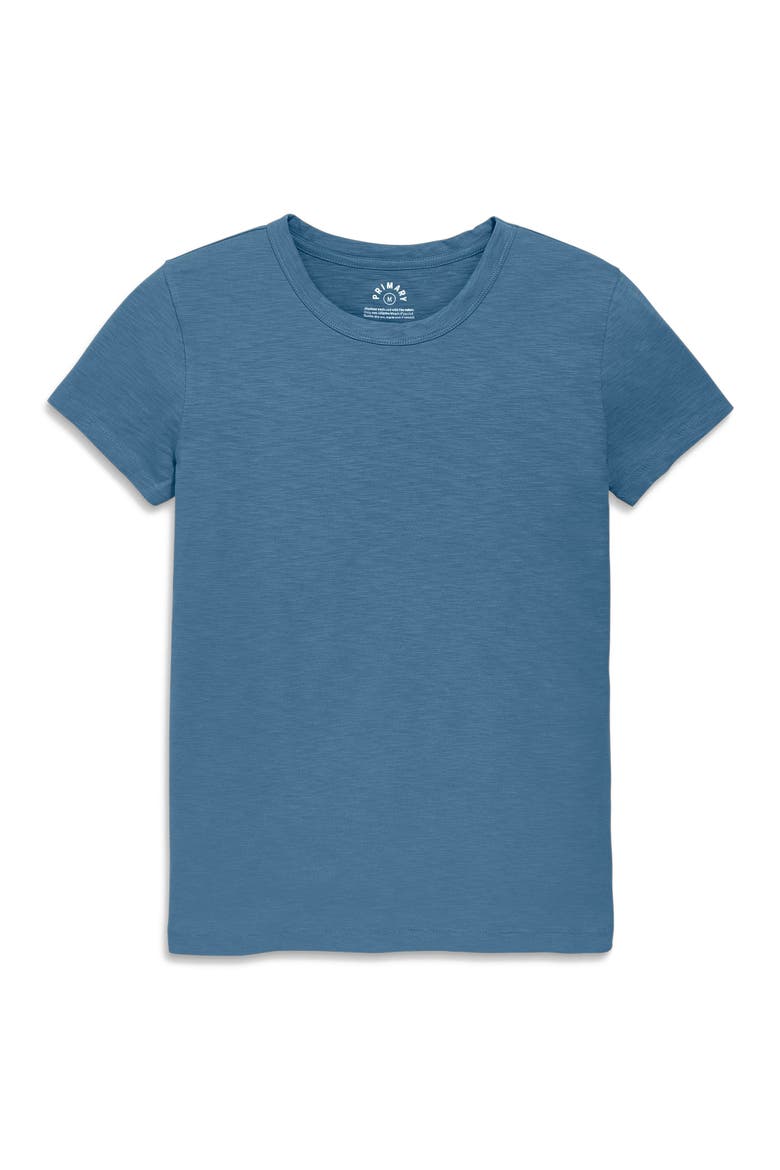 Women's Fit Classic Slub Crewneck Tee, Main, color, Moonlight