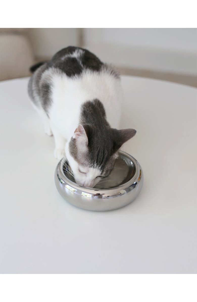 Catenary Halo Chrome Cat Bowl, Alternate, color, Chrome