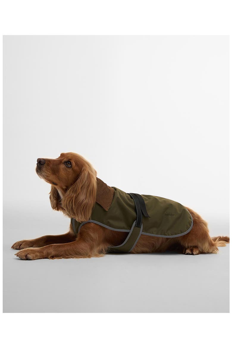 Monmouth Waterproof Dog Coat, Main, color, OLIVE