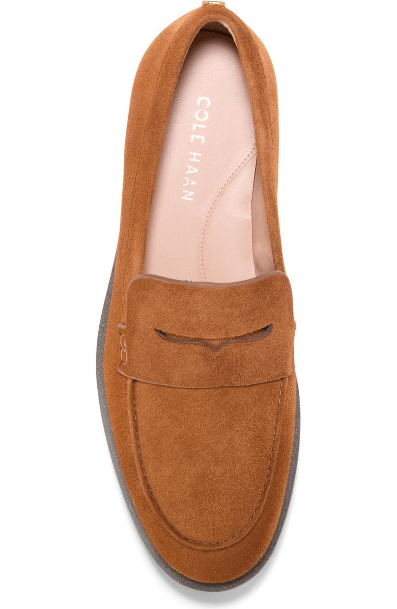 Cole Haan Gwendolyn Penny Loafer, Alternate, color, Chestnut Tobacco Suede