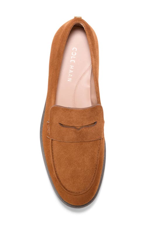 Cole Haan Gwendolyn Penny Loafer In Brown