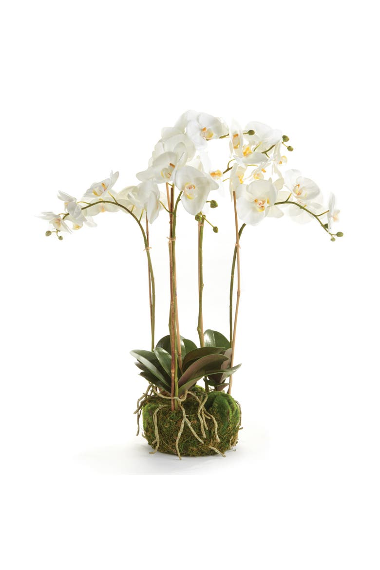Phalaenopsis Orchid Faux (Fake) Bowl Drop-In 25", Main, color, White