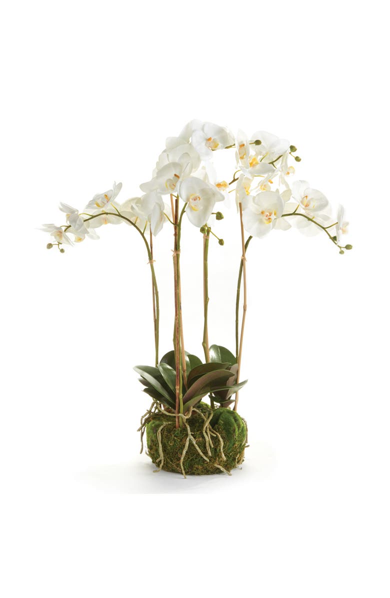 Napa Home & Garden Phalaenopsis Orchid Faux (Fake) Bowl Drop-In 25", Main, color, 