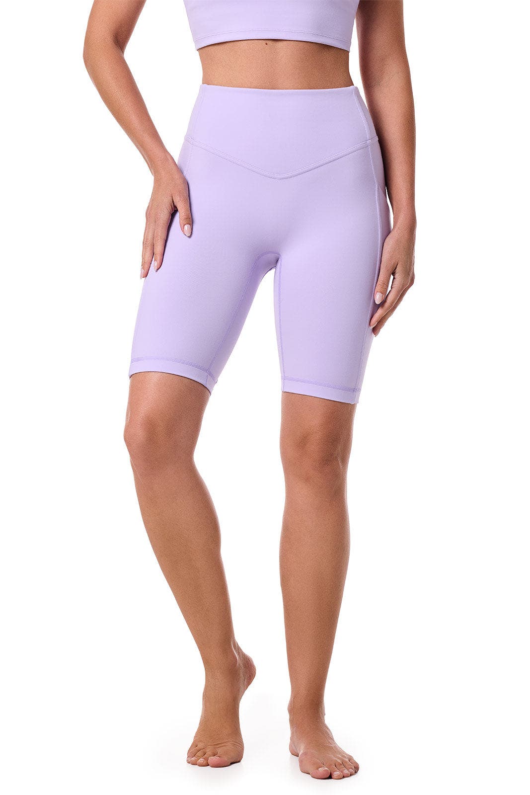selected Lavendula