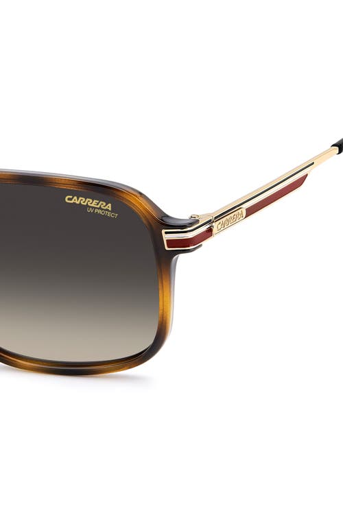 Carrera Eyewear 390/s 59mm Gradient Rectangular Sunglasses In Brown