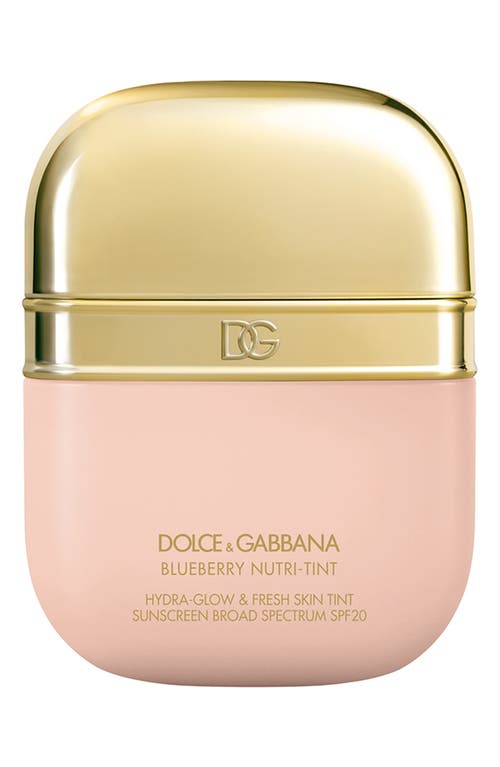 Dolce & Gabbana Dolce&gabbana The Blueberry Nutri-tint Skin Tint